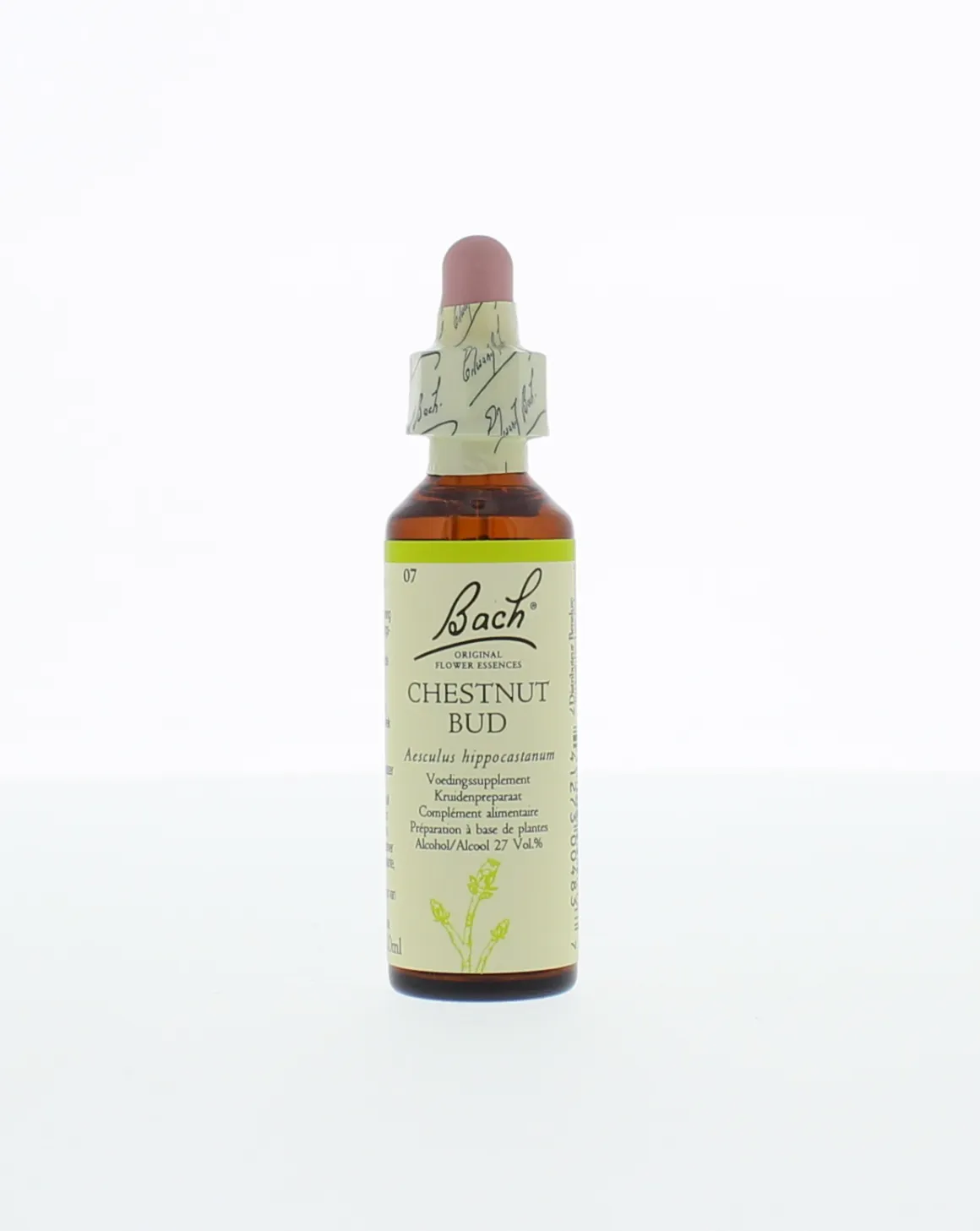 Bach Chestnut bud/kastanjeknop