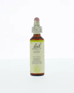 Bach Olive/olijf