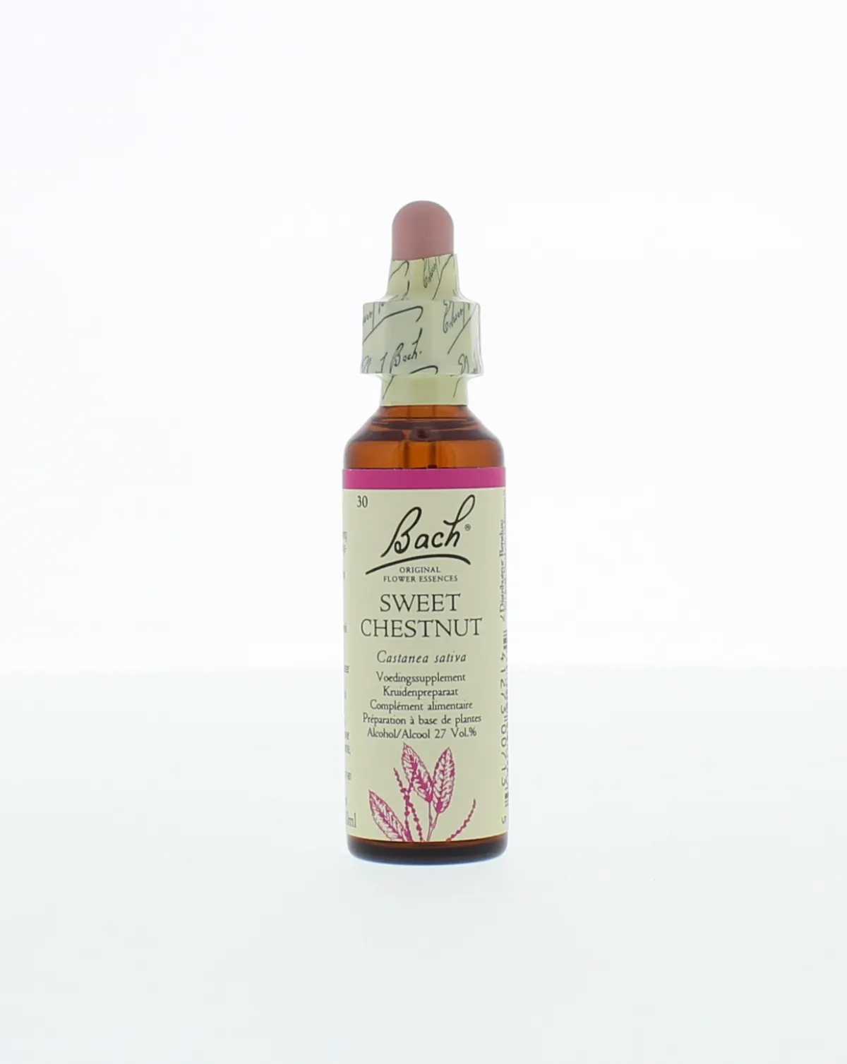 Discount Bach Sweet chestnut/tamme kastanje