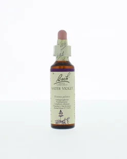 Sale Bach Water violet/waterviolier