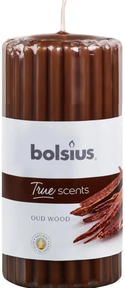 Bolsius True Scents stompkaars geur 120/58 old wood