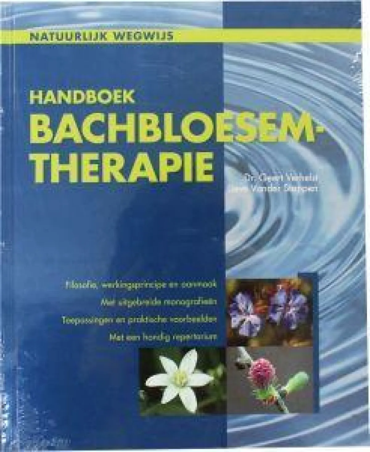 Clearance Chi Groot handboek Bach bloesem