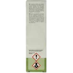 Chi Wintergreen wild