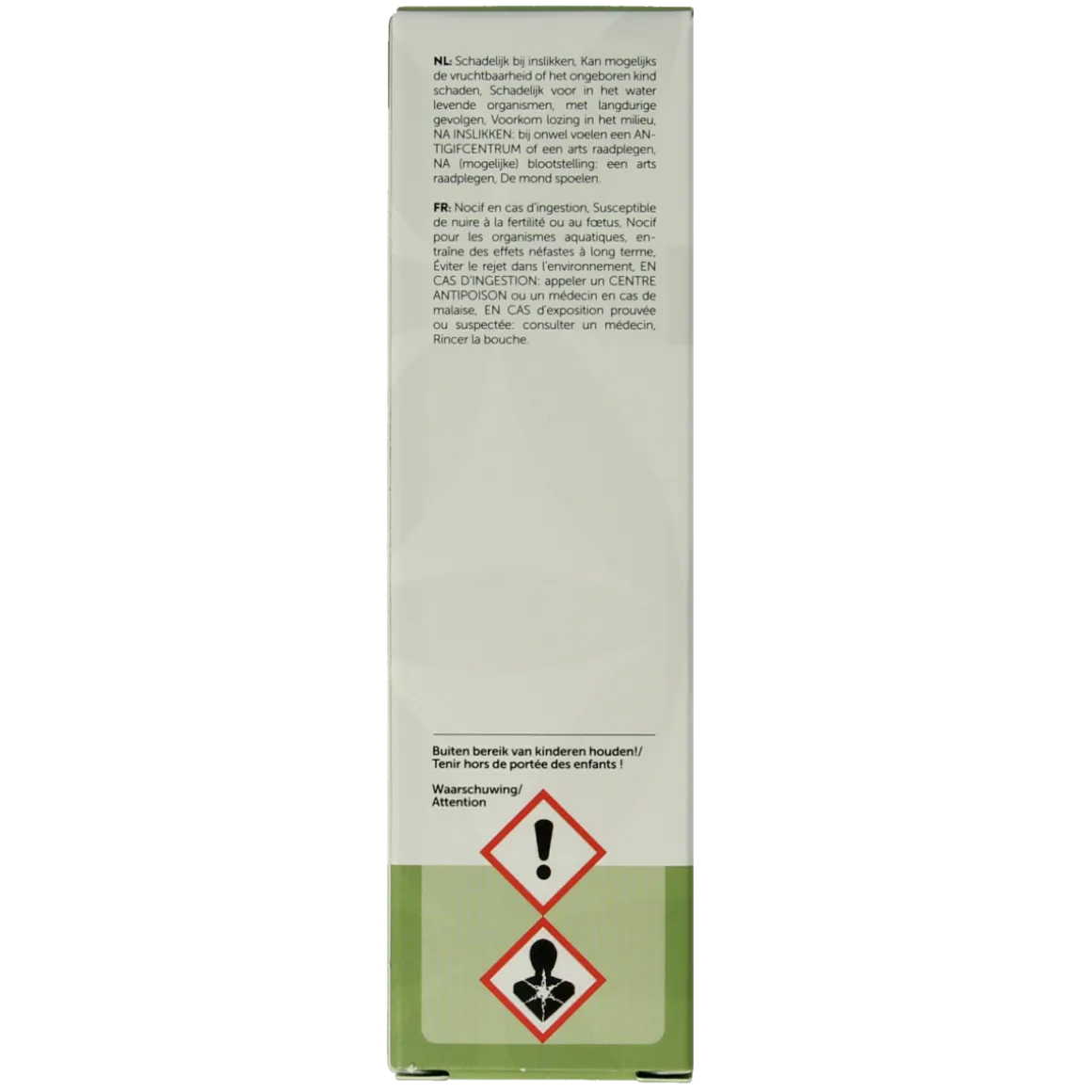 Chi Wintergreen wild