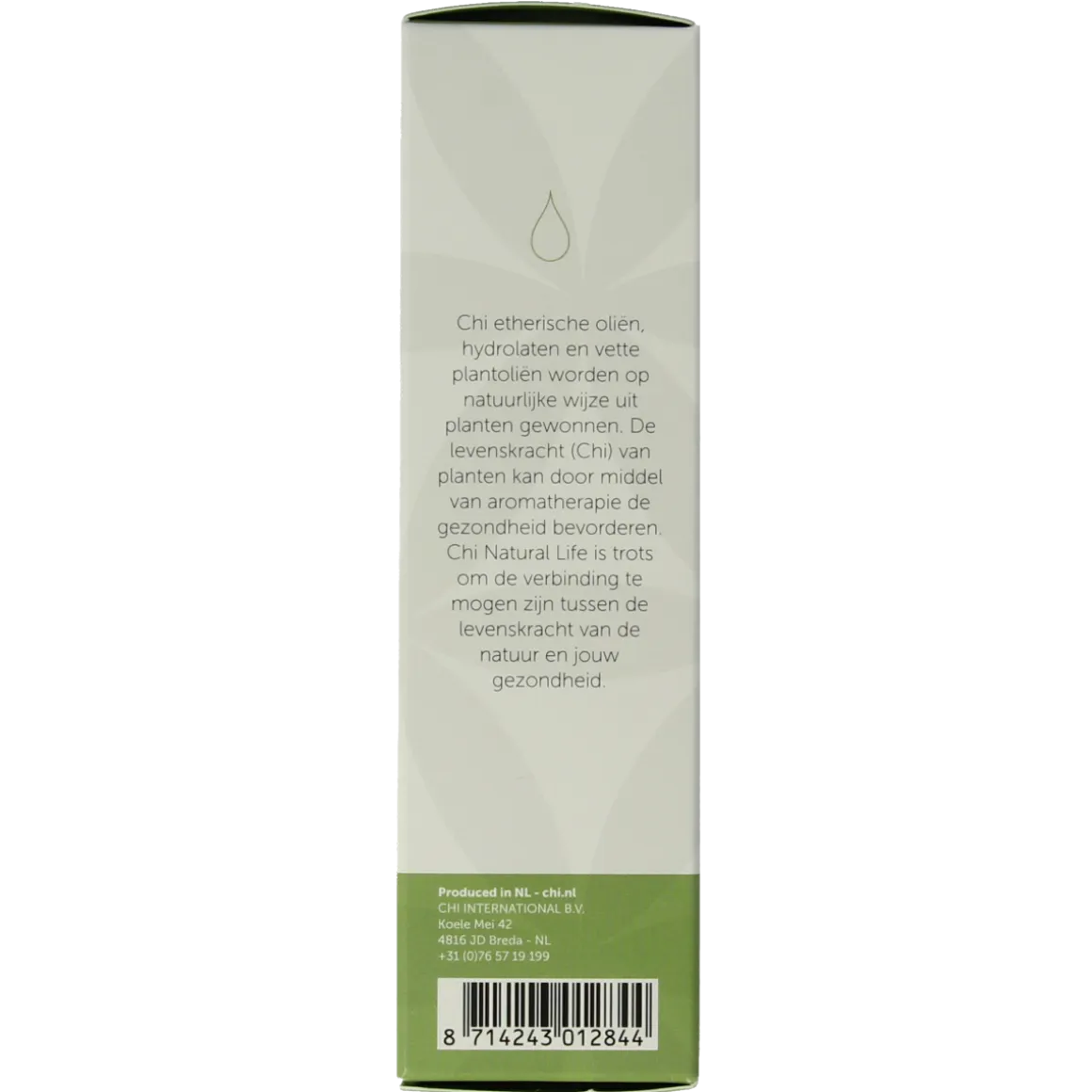 Chi Wintergreen wild
