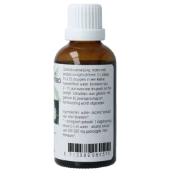 Sale Cruydhof Sambucus nigra / gewone vlier bio