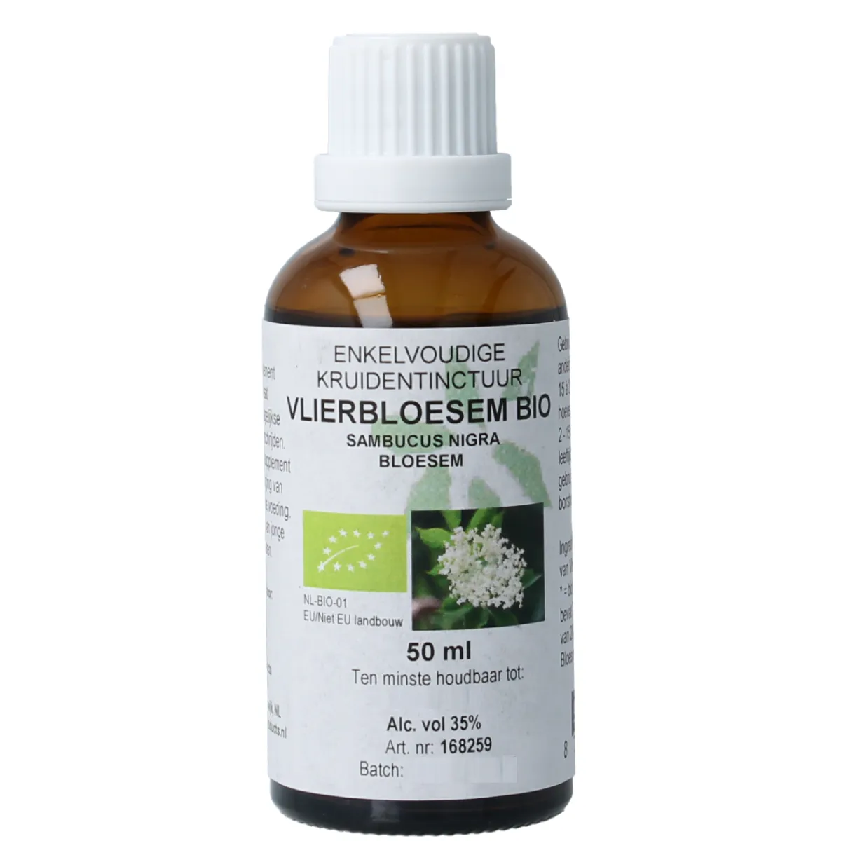Sale Cruydhof Sambucus nigra / gewone vlier bio