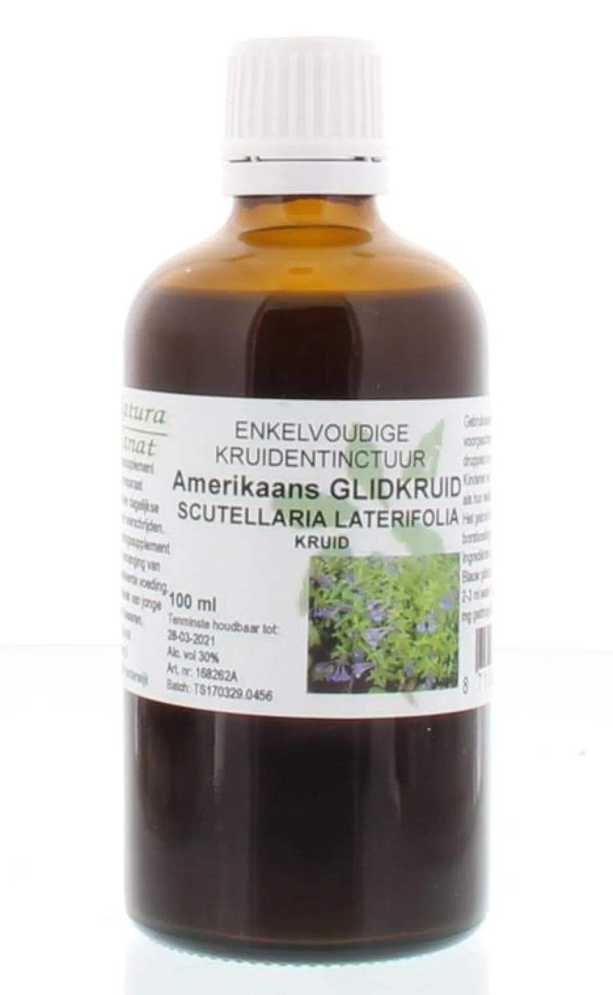 Clearance Cruydhof Scutellaria / Amerikaans glidkruid tinctuur