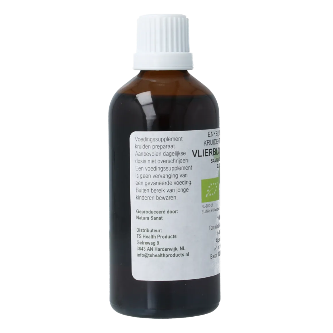 De Cruydhof Sambucus nigra / gewone vlier bio
