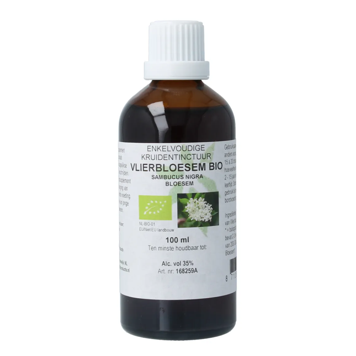 De Cruydhof Sambucus nigra / gewone vlier bio