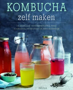 Sale Deltas Kombucha zelf maken