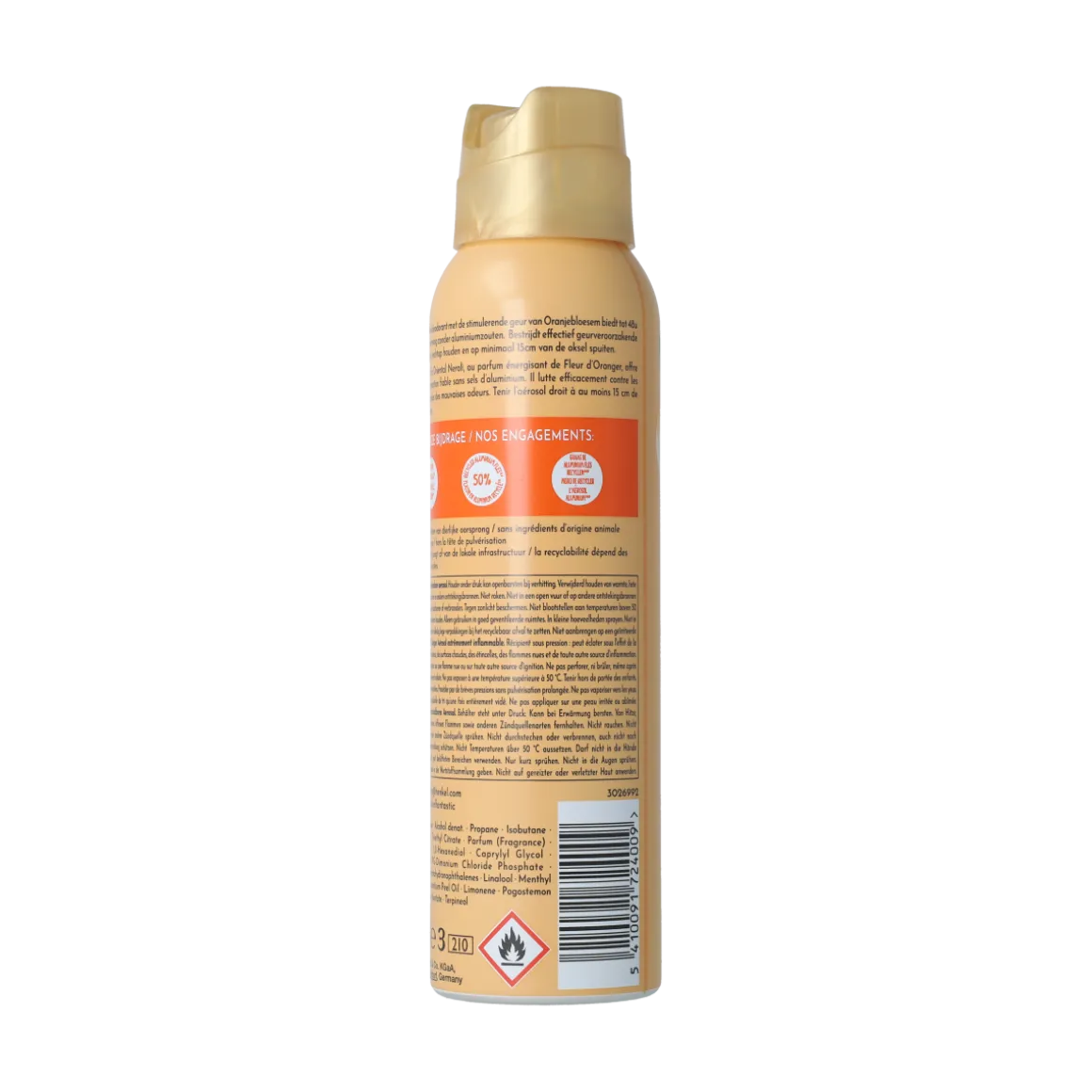 FA Deodorant spray oriental moments