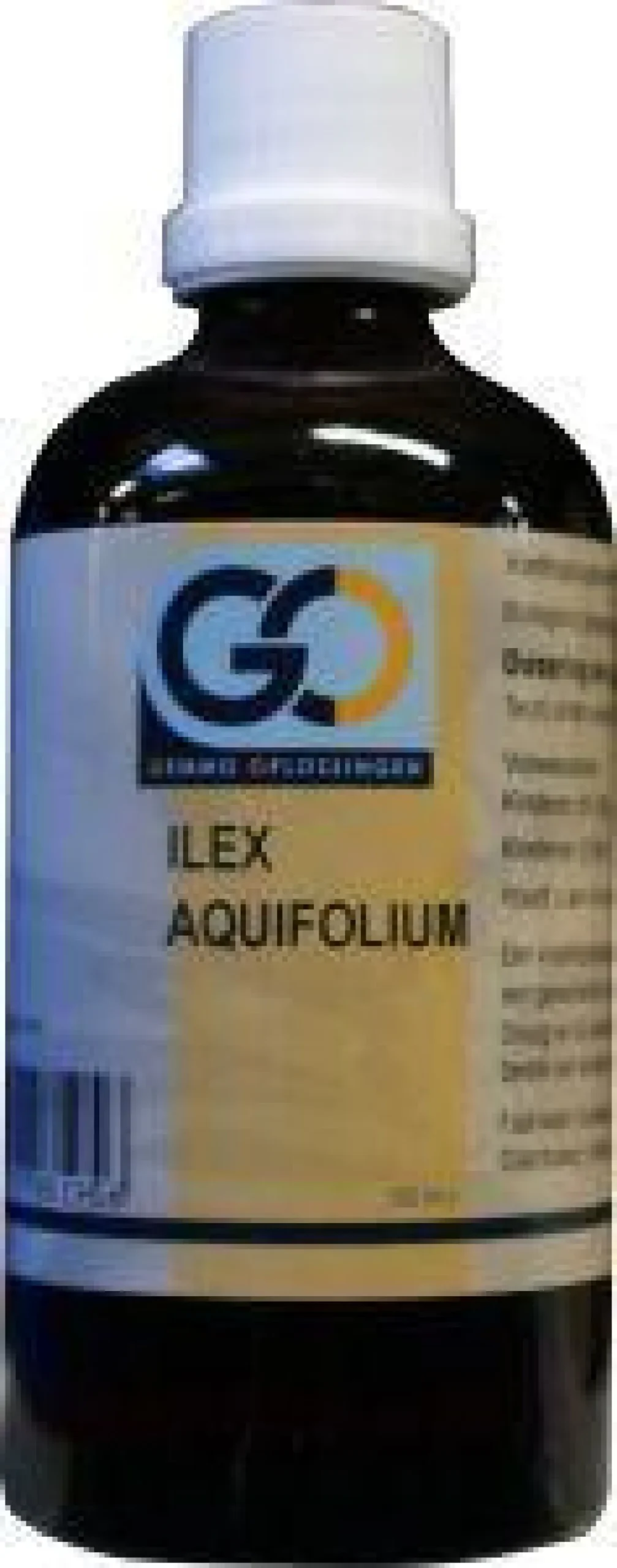 Discount GO Ilex aquafolium