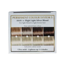 Henna Plus Long lasting colour 10.01 silver blond