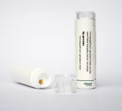 Best Homeoden Heel Hypericum perforatum D6