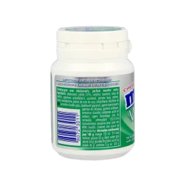 Outlet Mentos Gum greenmint white pot