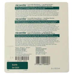 Nicorette Mondspray fruit & mint duo