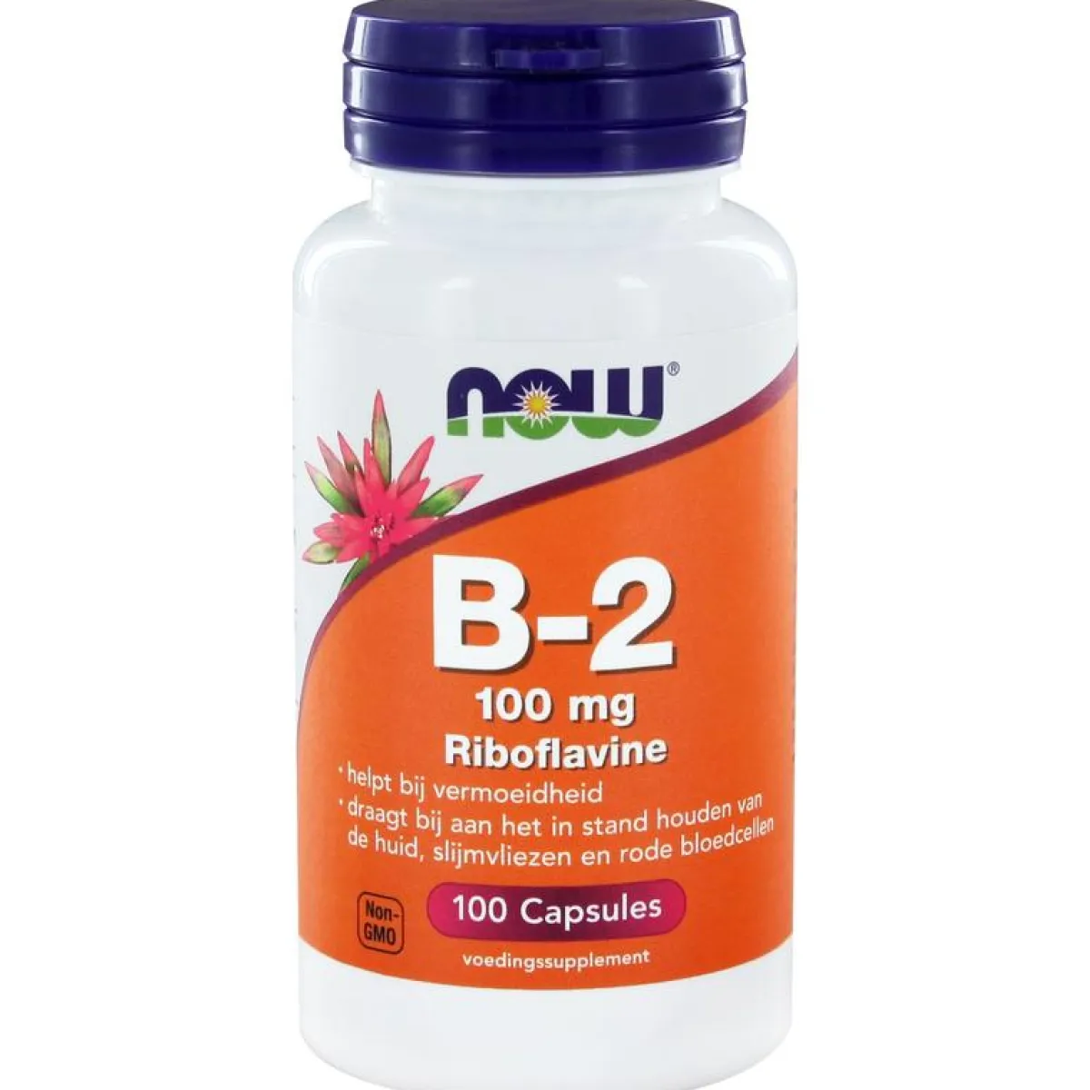 Online NOW Vitamine B2 100mg
