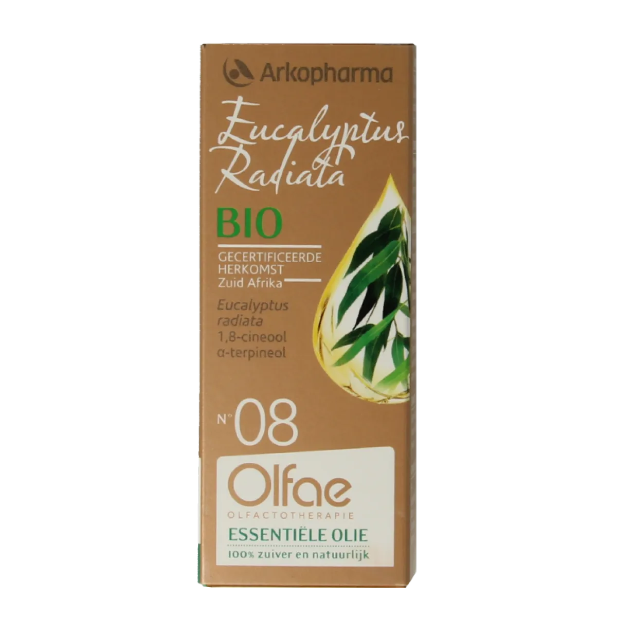 New Olfae Eucalyptus radiata 08 bio