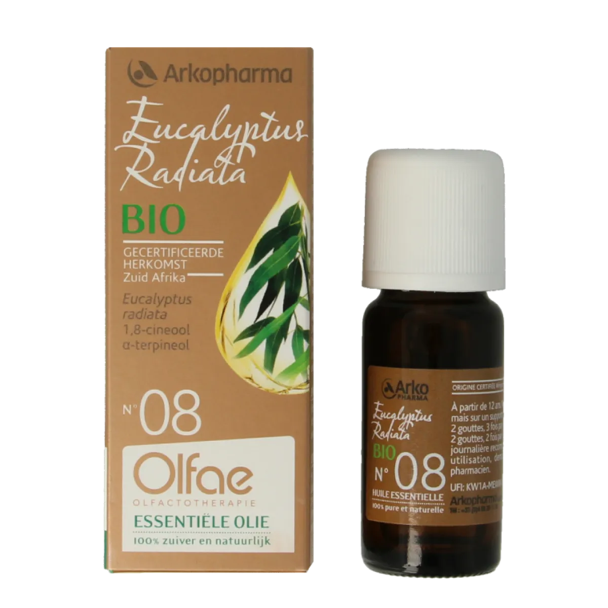 New Olfae Eucalyptus radiata 08 bio