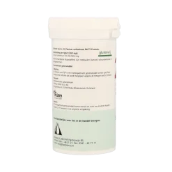 New Pflüger Calcium carbonicum 22 D6 Schussler