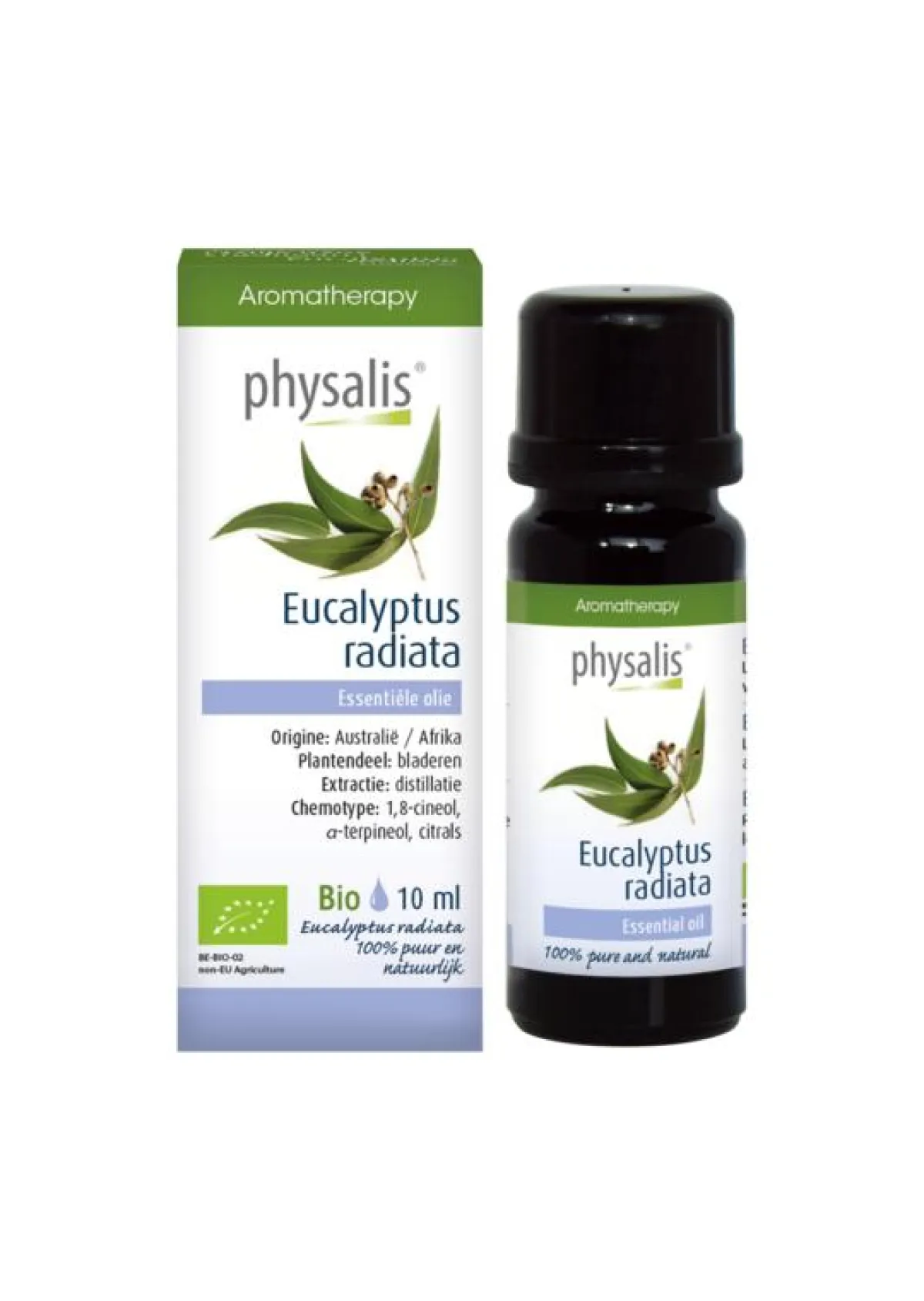 Hot Physalis Eucalyptus radiata bio