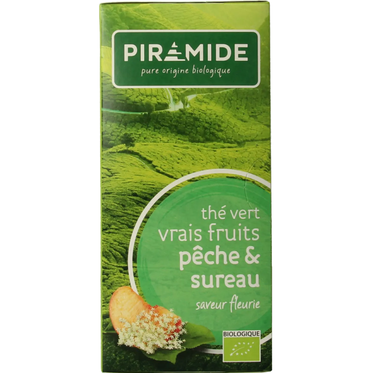 Hot Piramide Groene thee perzik vlierbloesem bio