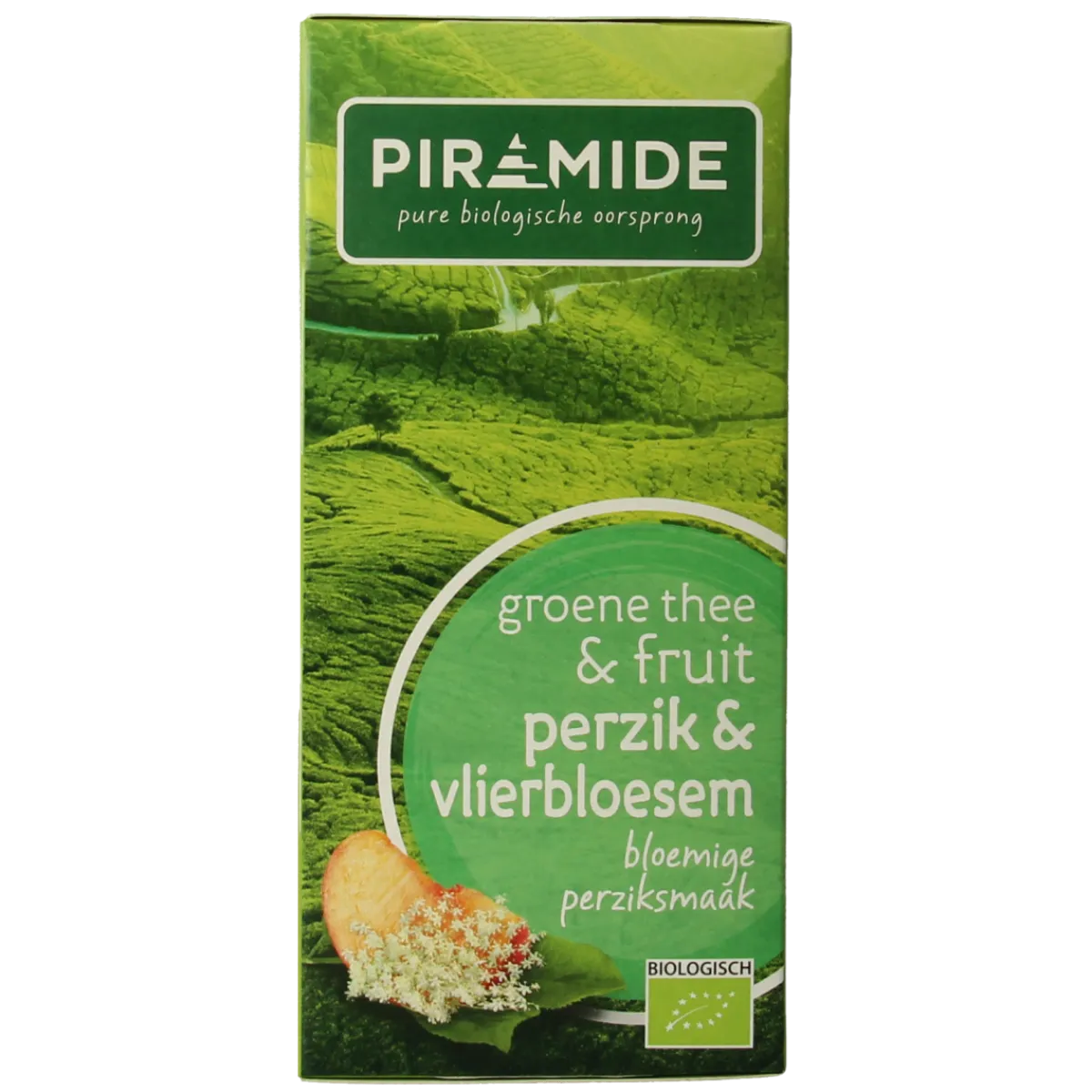 Hot Piramide Groene thee perzik vlierbloesem bio