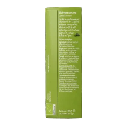 Piramide Groene thee sencha bio