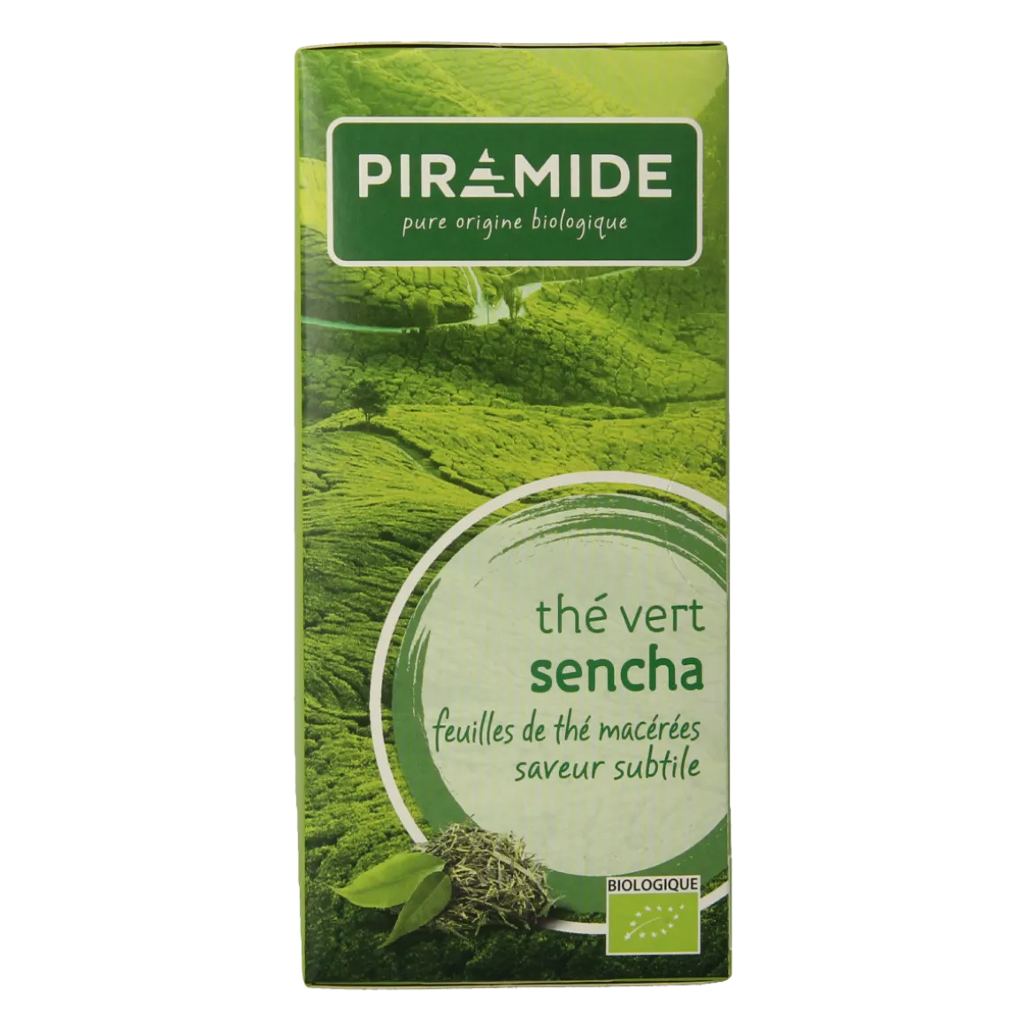 Piramide Groene thee sencha bio