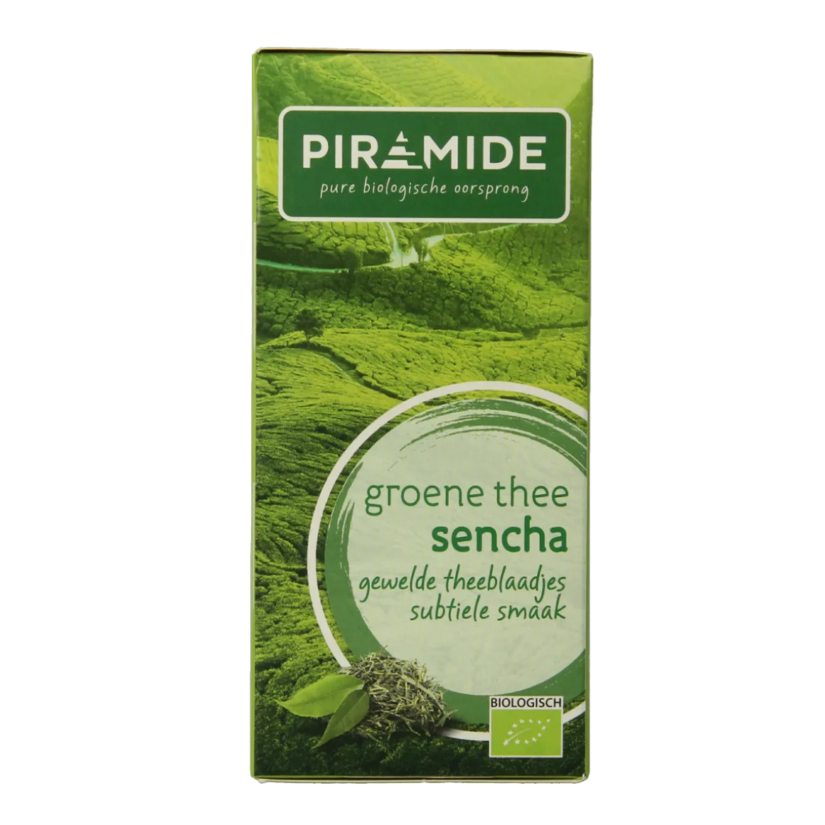 Piramide Groene thee sencha bio