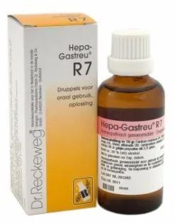 Online Reckeweg Hepa gastreu R07