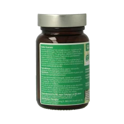 RIO Gogo guarana 500mg 10 dagen