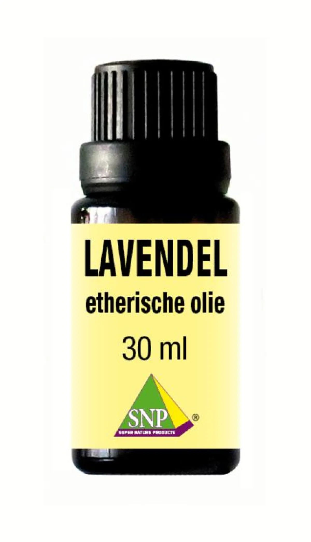 Hot SNP Lavendel