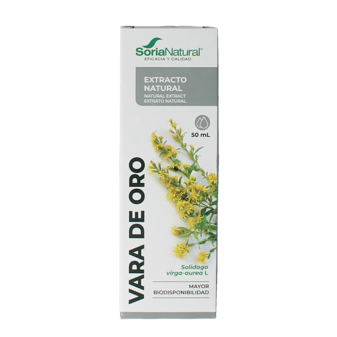 Soria Natural Solidago virgaurea extract