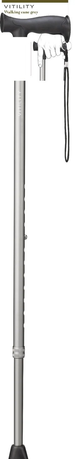 Vitility Wandelstok grijs