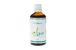 New Vitiv Echinacea