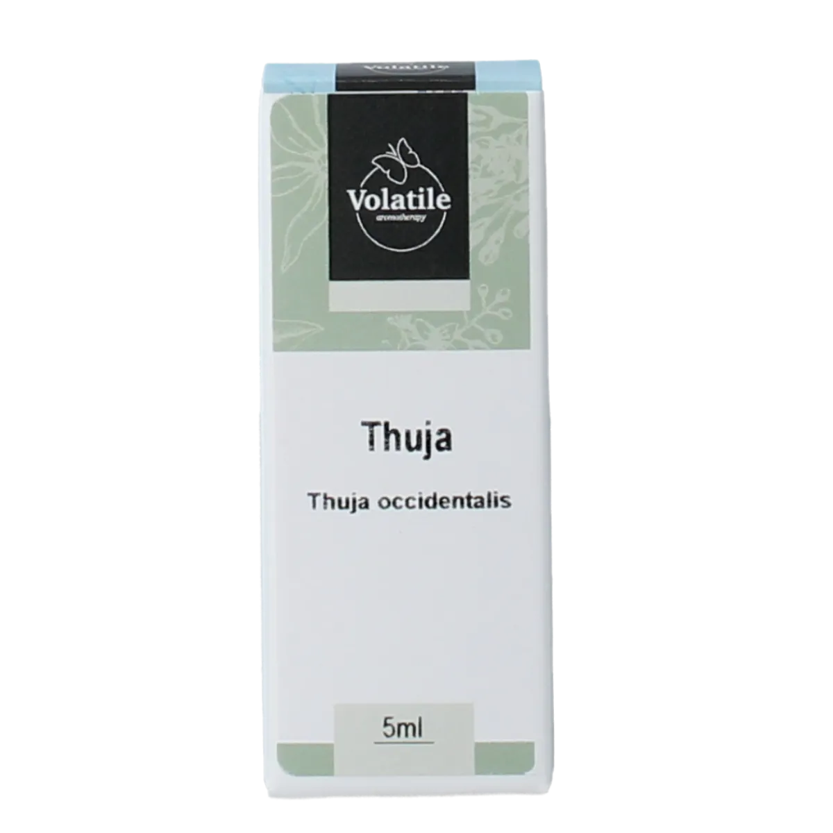Hot Volatile Thuja