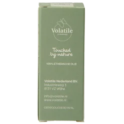 Volatile Thuja