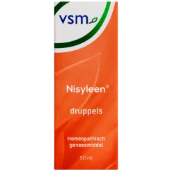 VSM Nisyleen