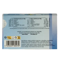 Xyligum Peppermint