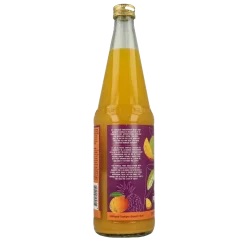 Your Organic Nature Vruchtensap appel ananas mango bio