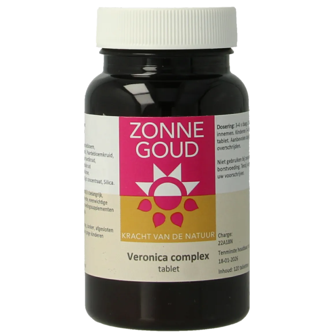 Zonnegoud Veronica complex